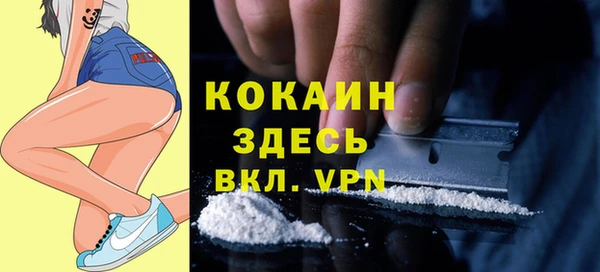 метадон Алексин