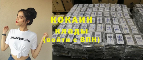 метадон Алексин